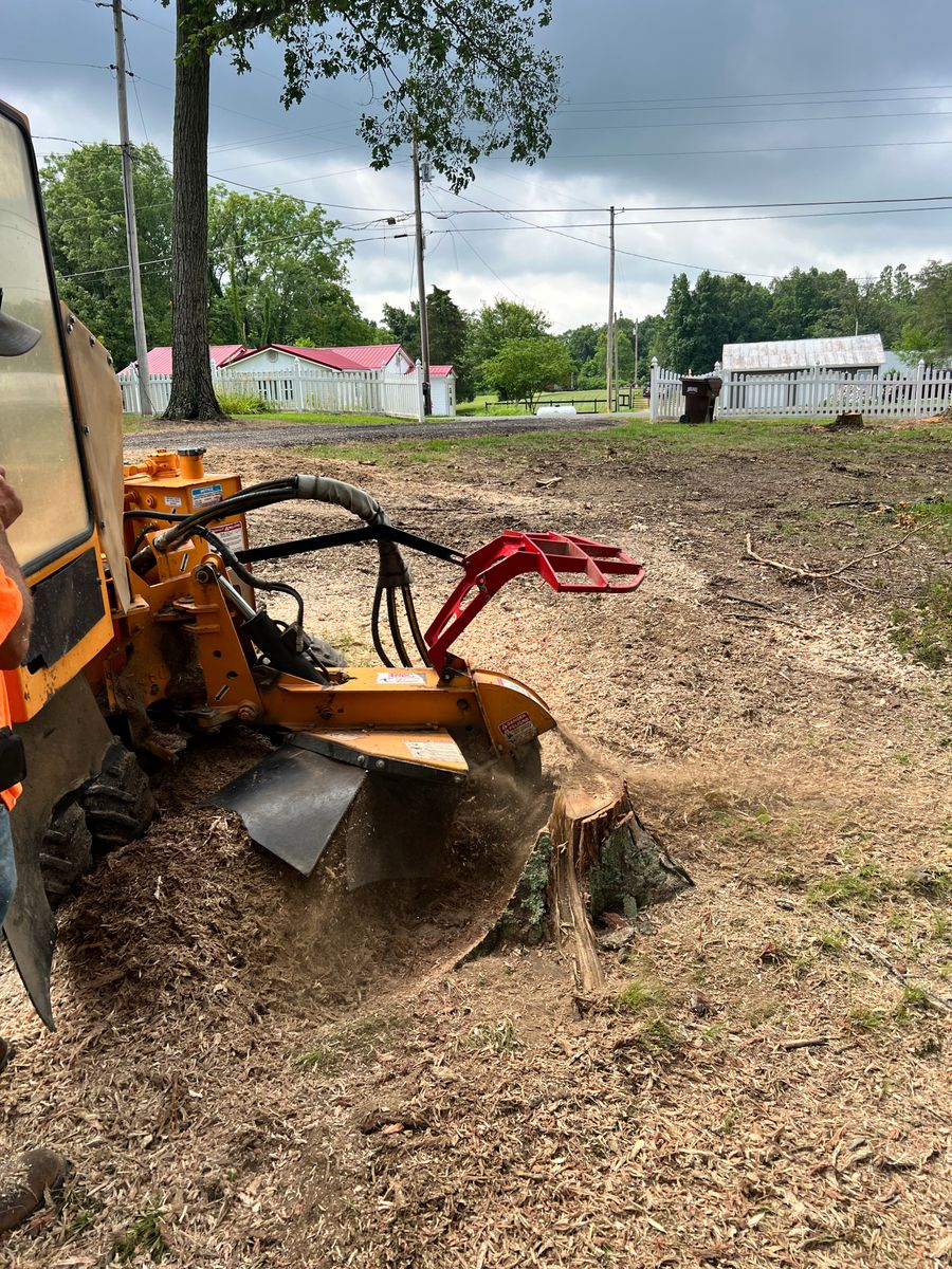 Tree Removal for Kadin’s Tree Service in North Vernon, IN