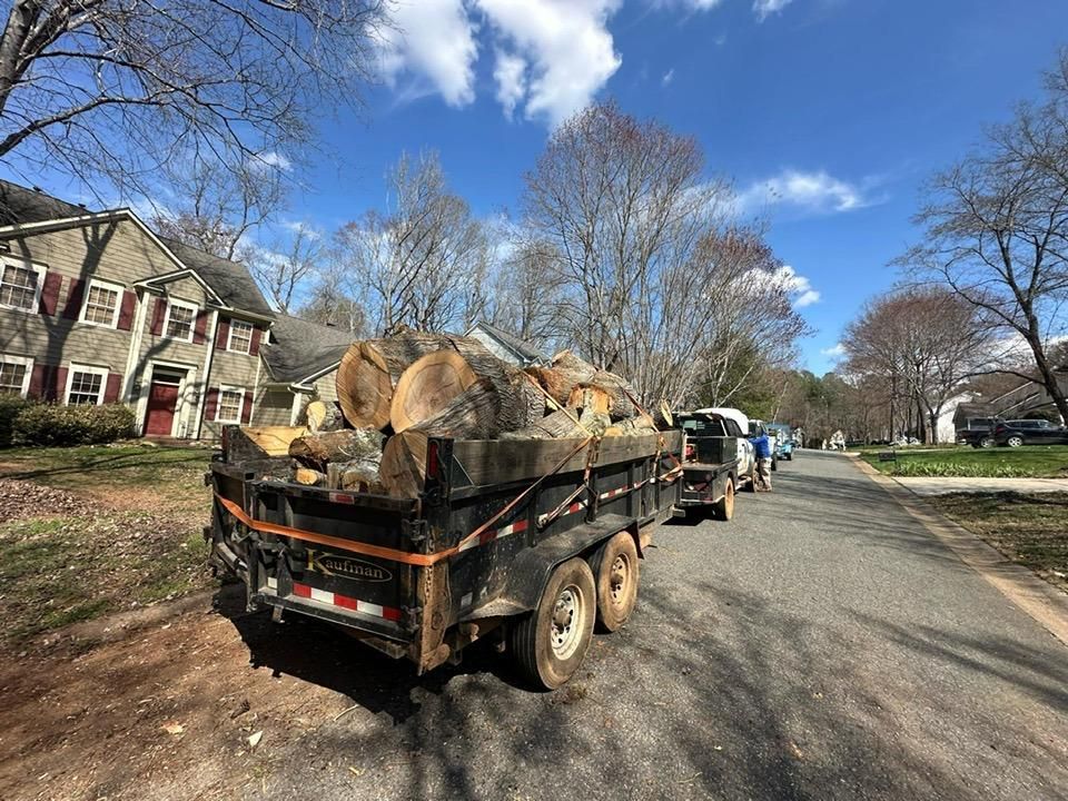 Storm Cleanup for Pedro's Tree Removal in Charlotte, NC