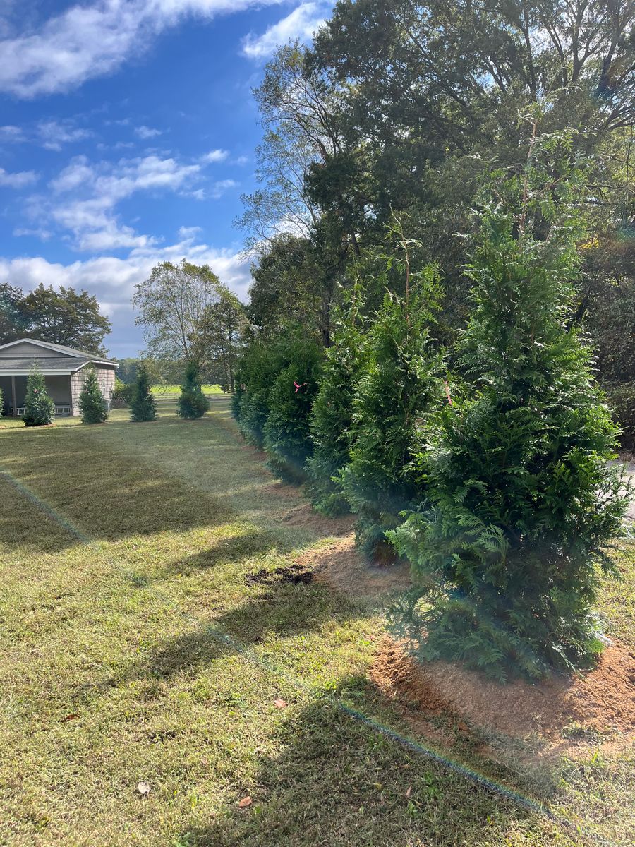 Tree and Shrub Installation for Atlas Home Services in Mechanicsville, VA