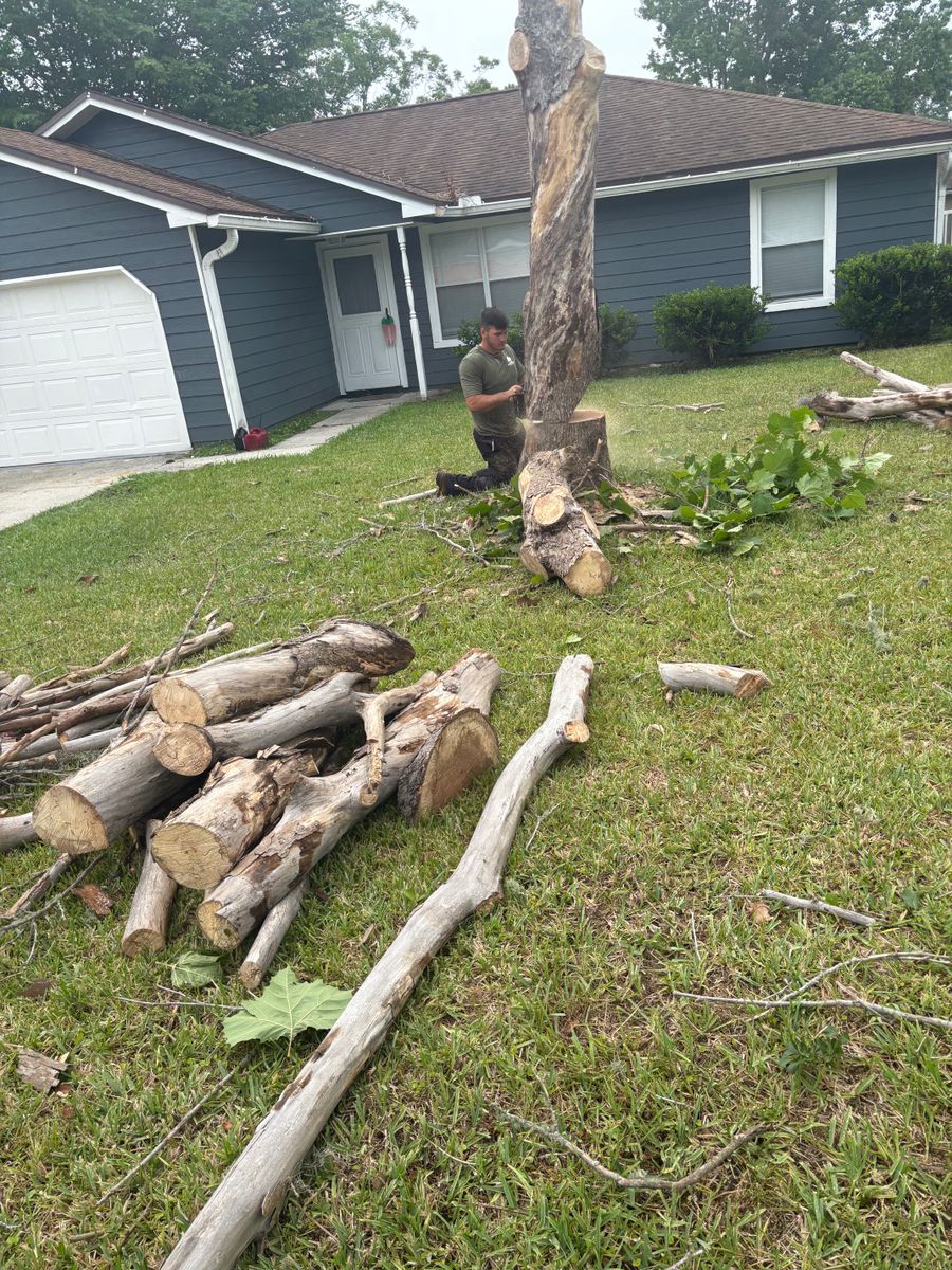 Fall Clean Up for Top Notch Tree Experts in Orange Park, FL