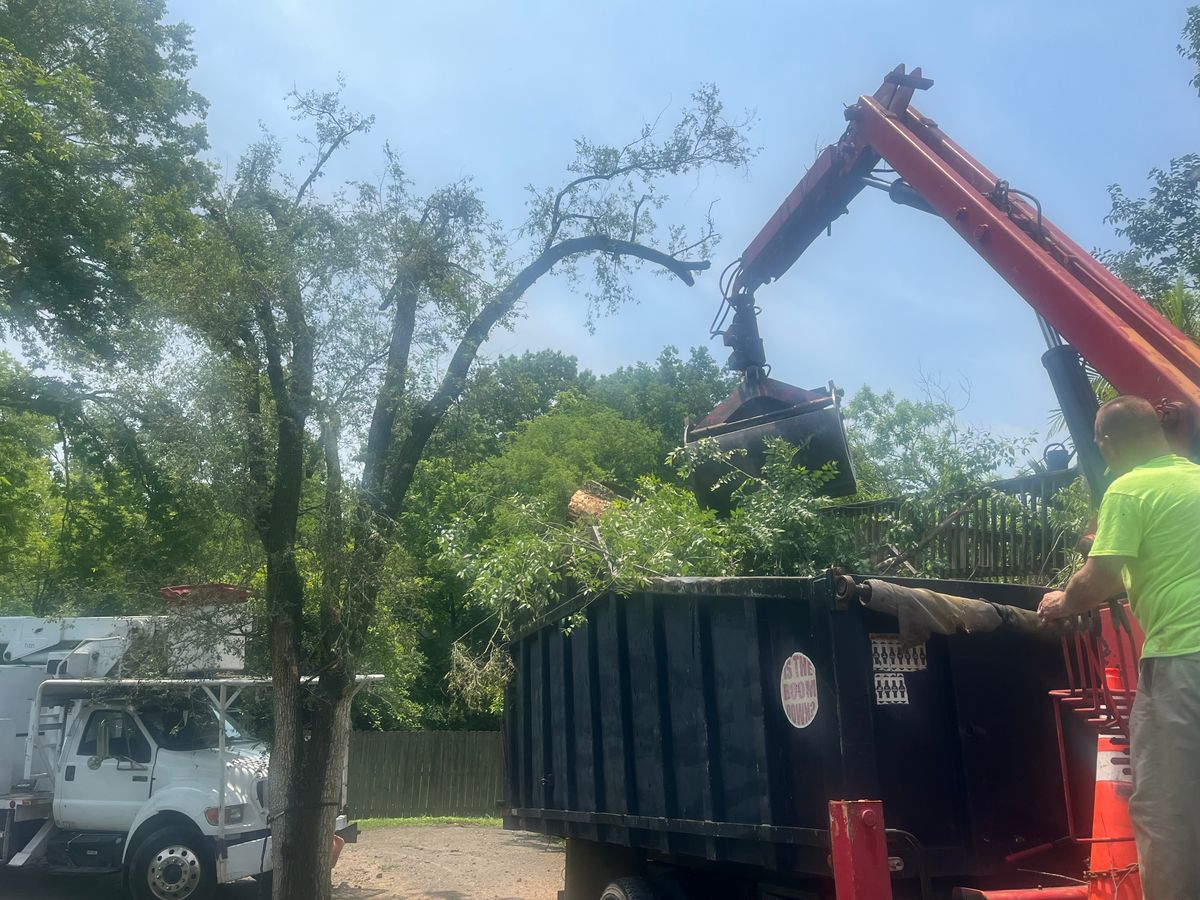 Tree Maintenance for Real Deal Lawn Care in Goodlettsville, TN