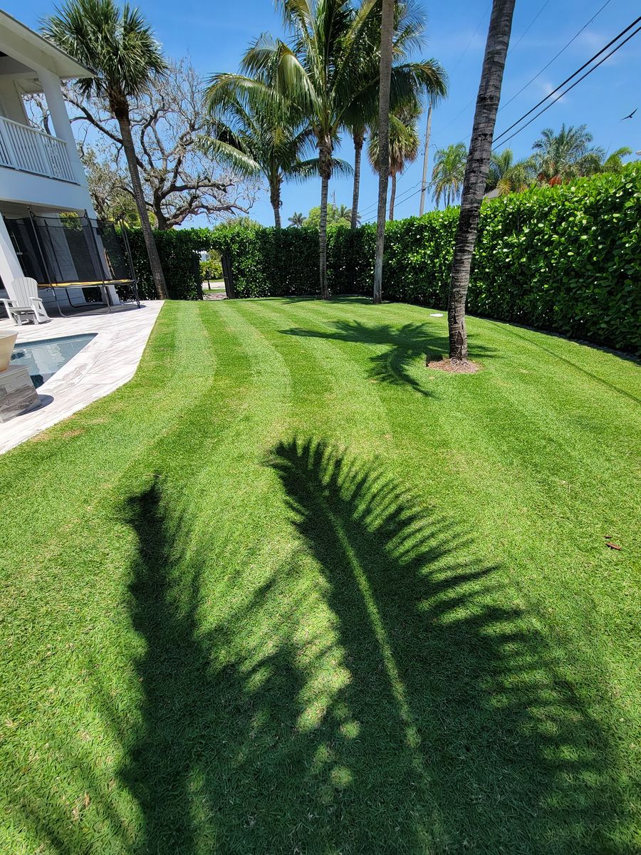 Lawn Care for L & J Palm Tree & Lawn Care Services in Jupiter, FL