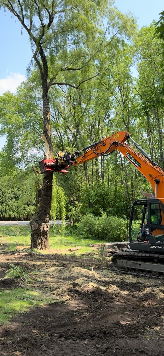 Land clearing for NXT LVL Excavating in New London, MN