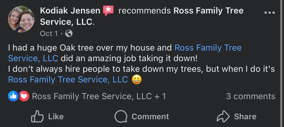 Other Tree Services for Ross Family Tree Service LLC  in Hohenwald, TN