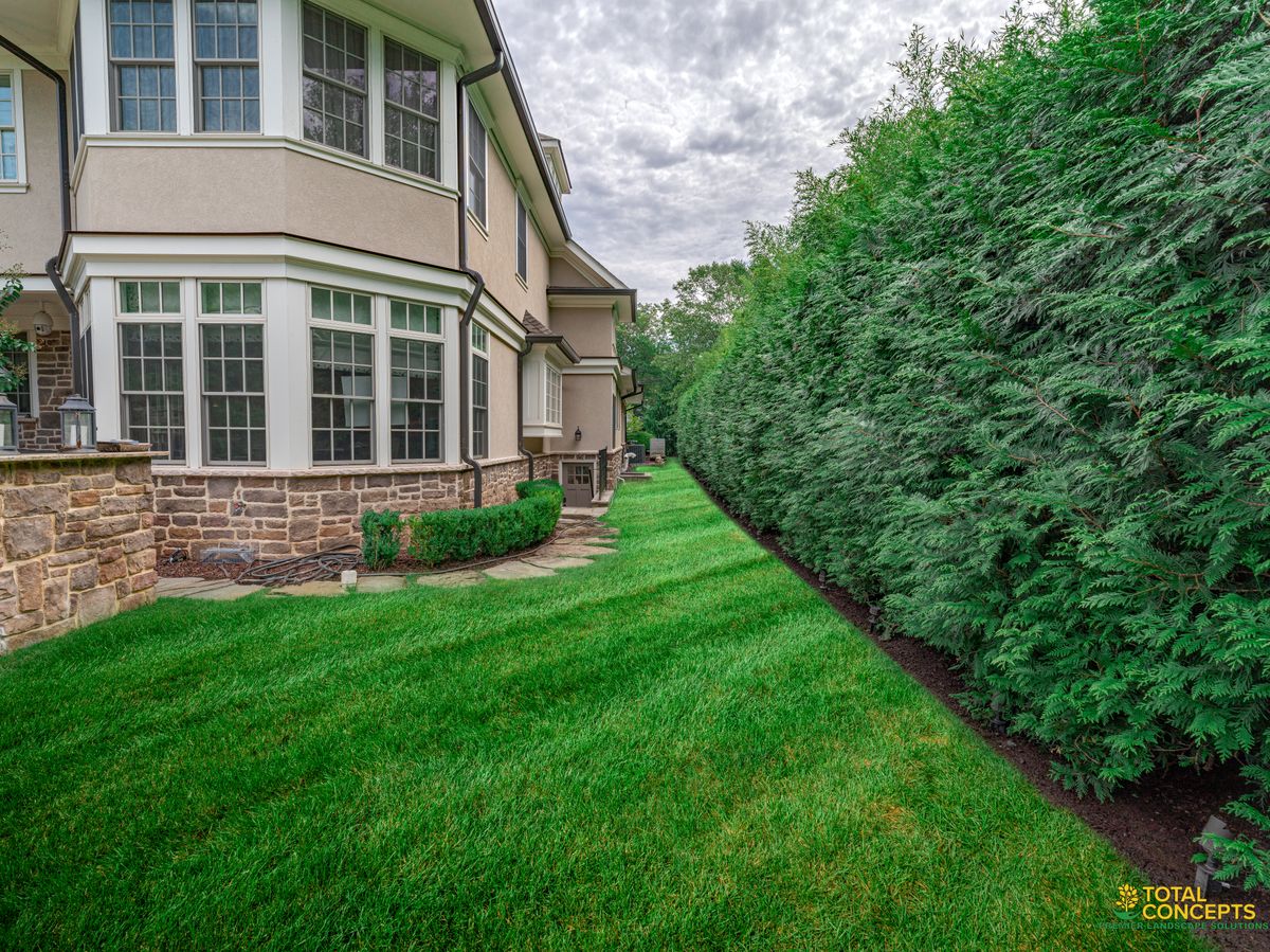 Premium Landscape Maintenance for  in Morristown, NJ