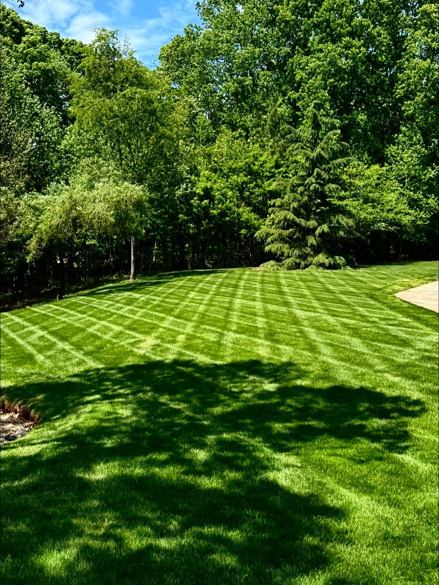 Mowing for Piedmont Lawn and Landscaping in Lexington, NC