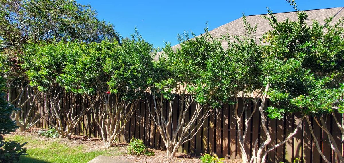 Shrub Trimming for HudCo Landscaping and Irrigation in Tuscaloosa, AL