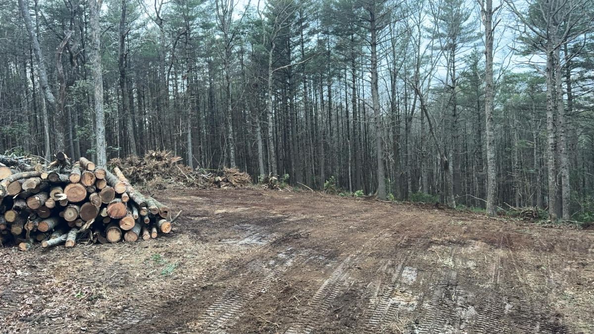 Tree Removal for Old South Grading in Glade Valley, NC