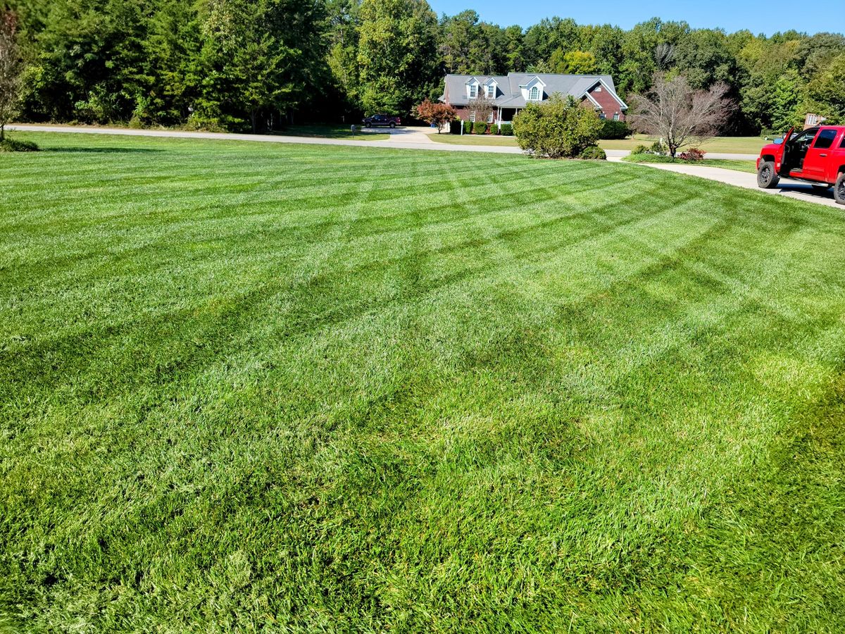 Fertilization for Piedmont Lawn and Landscaping in Lexington, NC