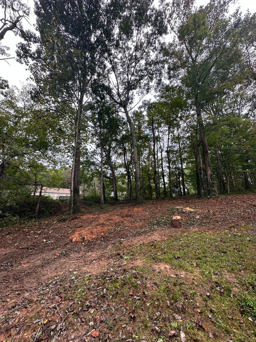 Site Preparation for Stines and Company  in Rutherfordton, NC