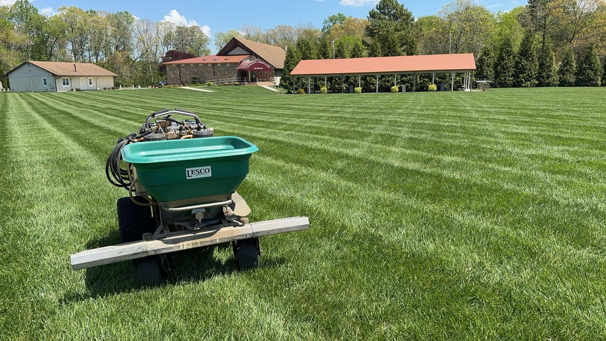 Complete Lawn Renovation for Solid Ground Outdoor Living Solutions in Seaford, DE