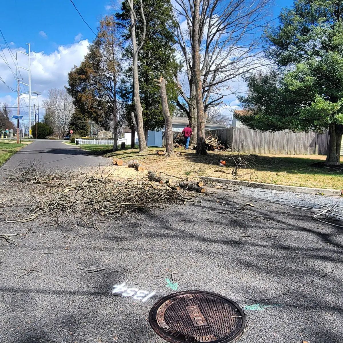 Stump Removal for Timber Arts Tree Service in Lindenwold, NJ 