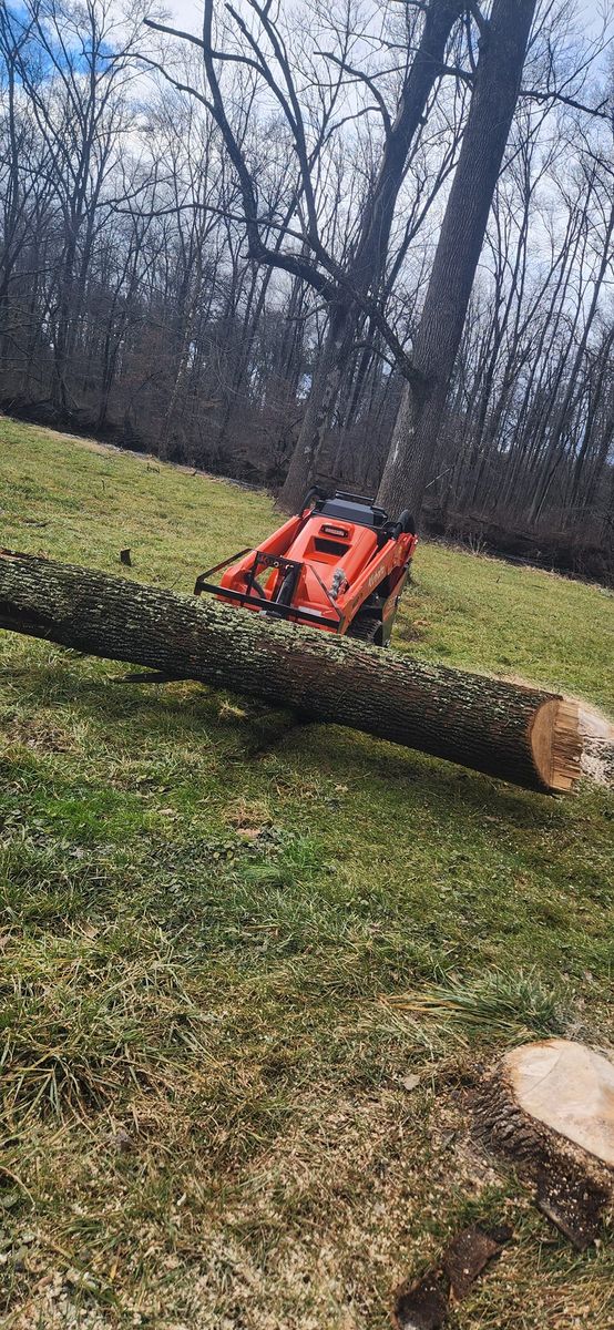 Tree & Shrub Care for Cristians Maintenance and Hardscaping llc in Bedminster, NJ
