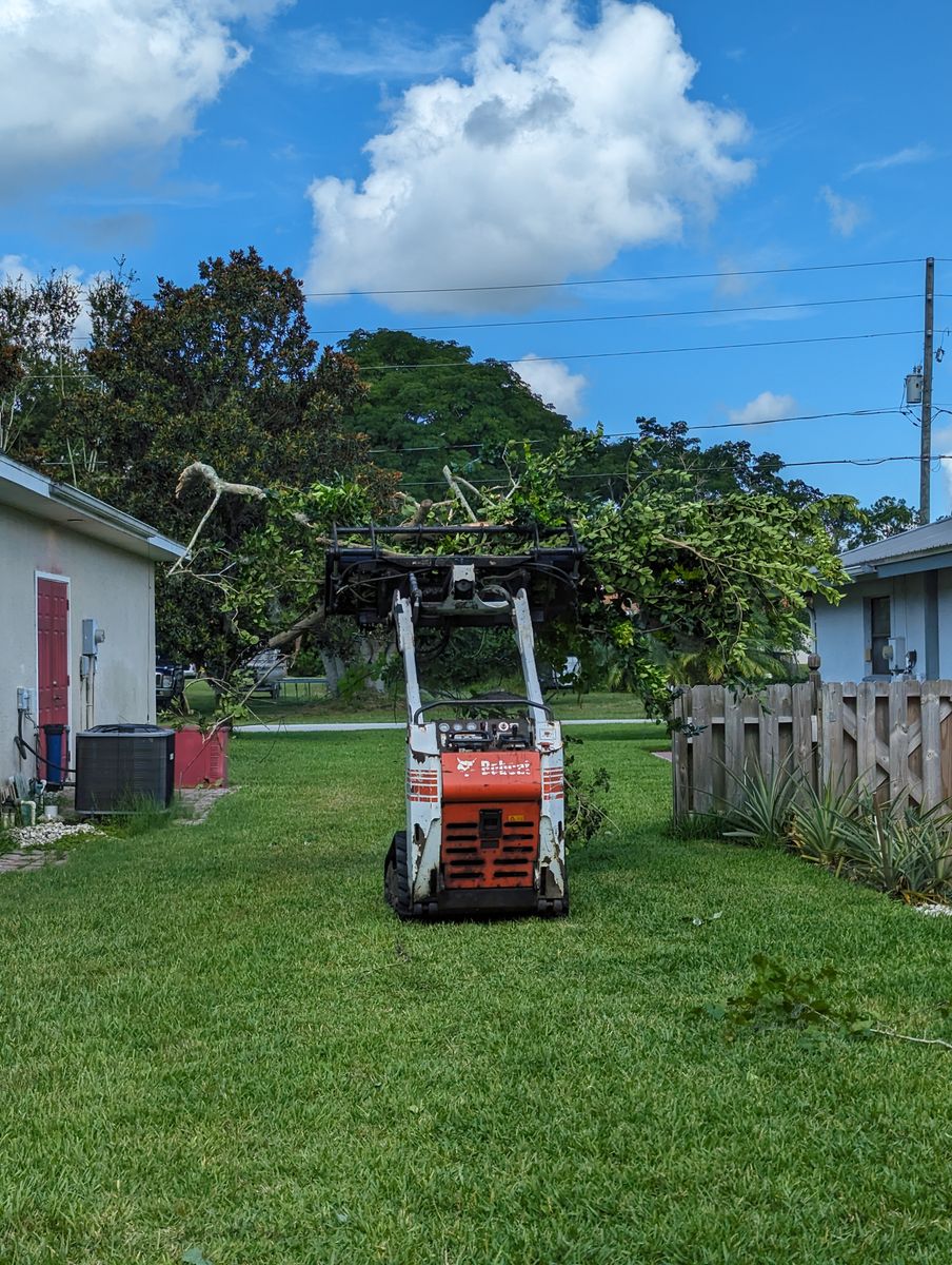 Debris Removal for Regal Tree Service and Stump Grinding in Wauchula, FL
