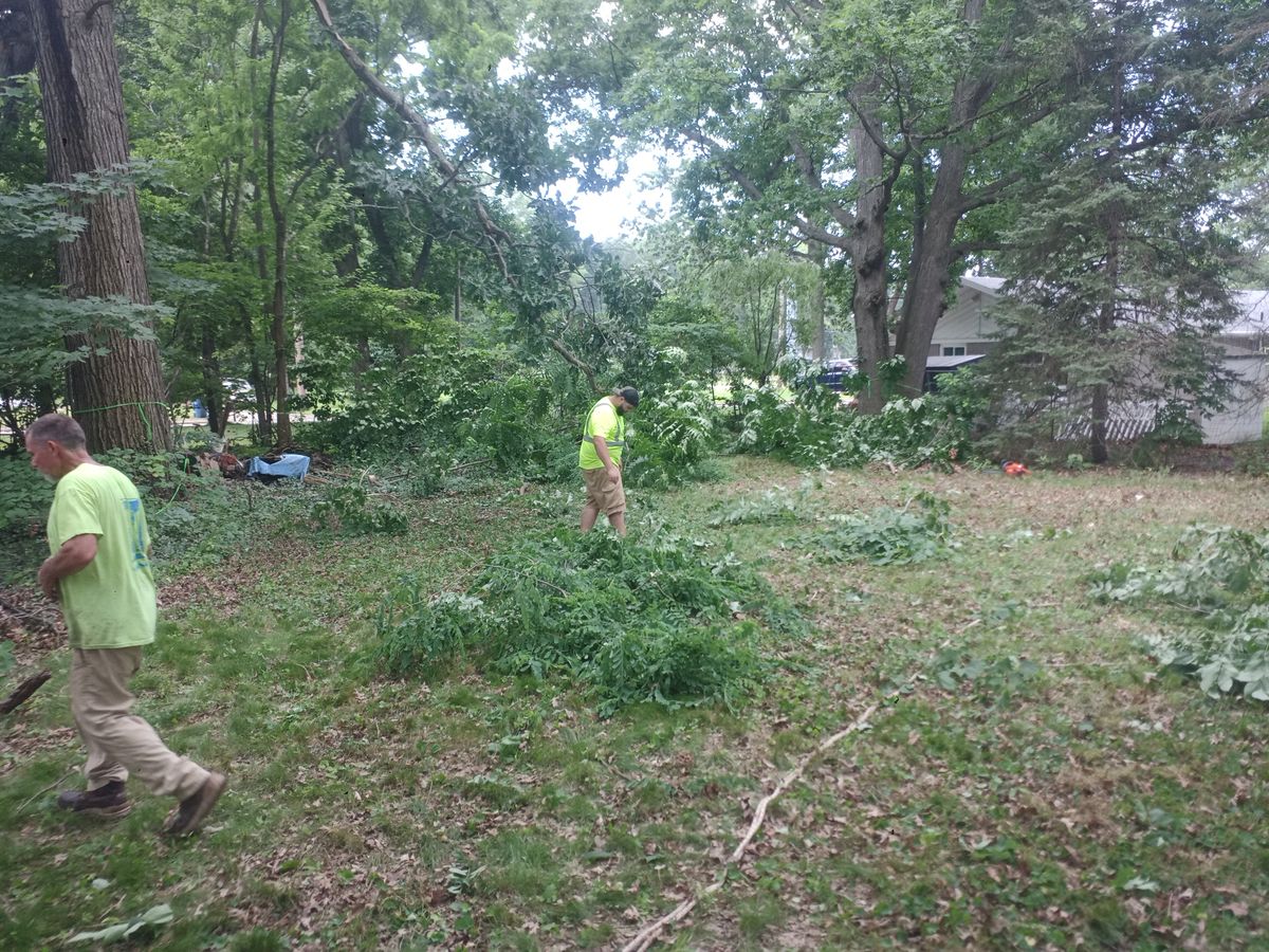 Tree Removal for Hendricks Mowing in Amherst, OH