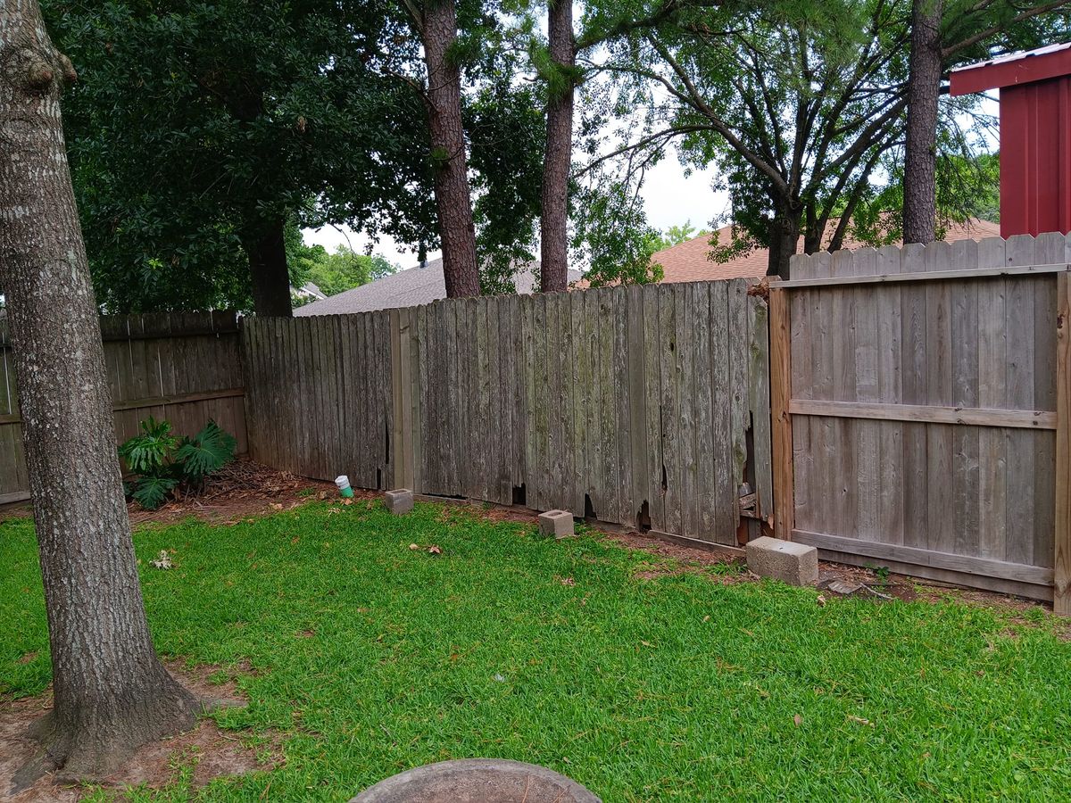 Fall Clean Up for G&S Tree Service in Houston, TX