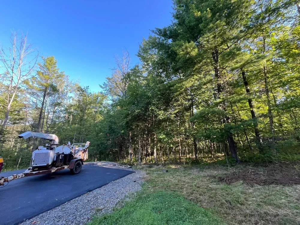 Tree Trimming for Licensed to Cut Tree Service in Athens, PA