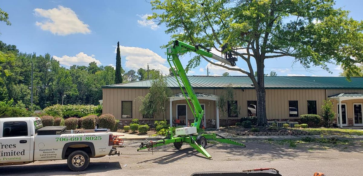 Tree Removal for Trees Unlimited of the CSRA in Augusta, GA