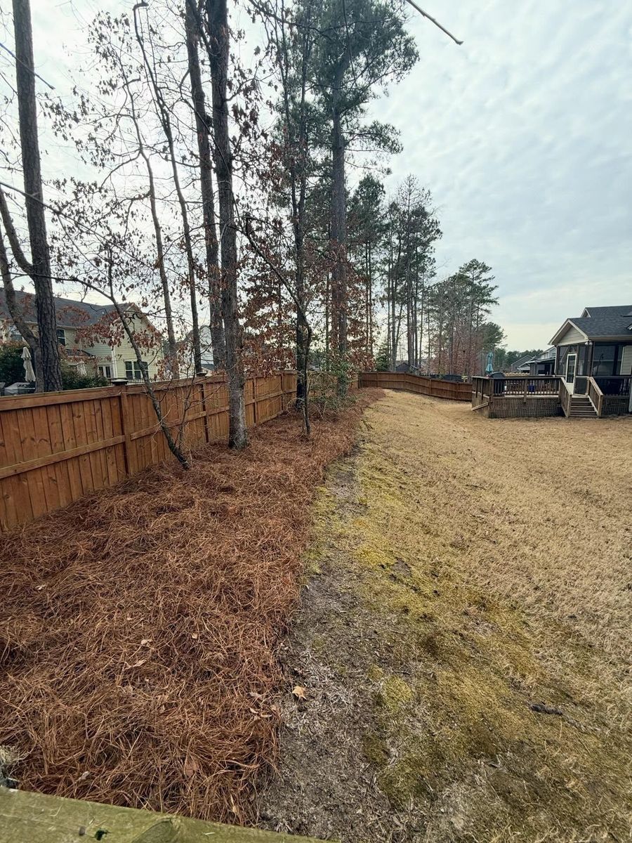 Mulch Installation for Healthy Roots Landscaping in Apex, NC