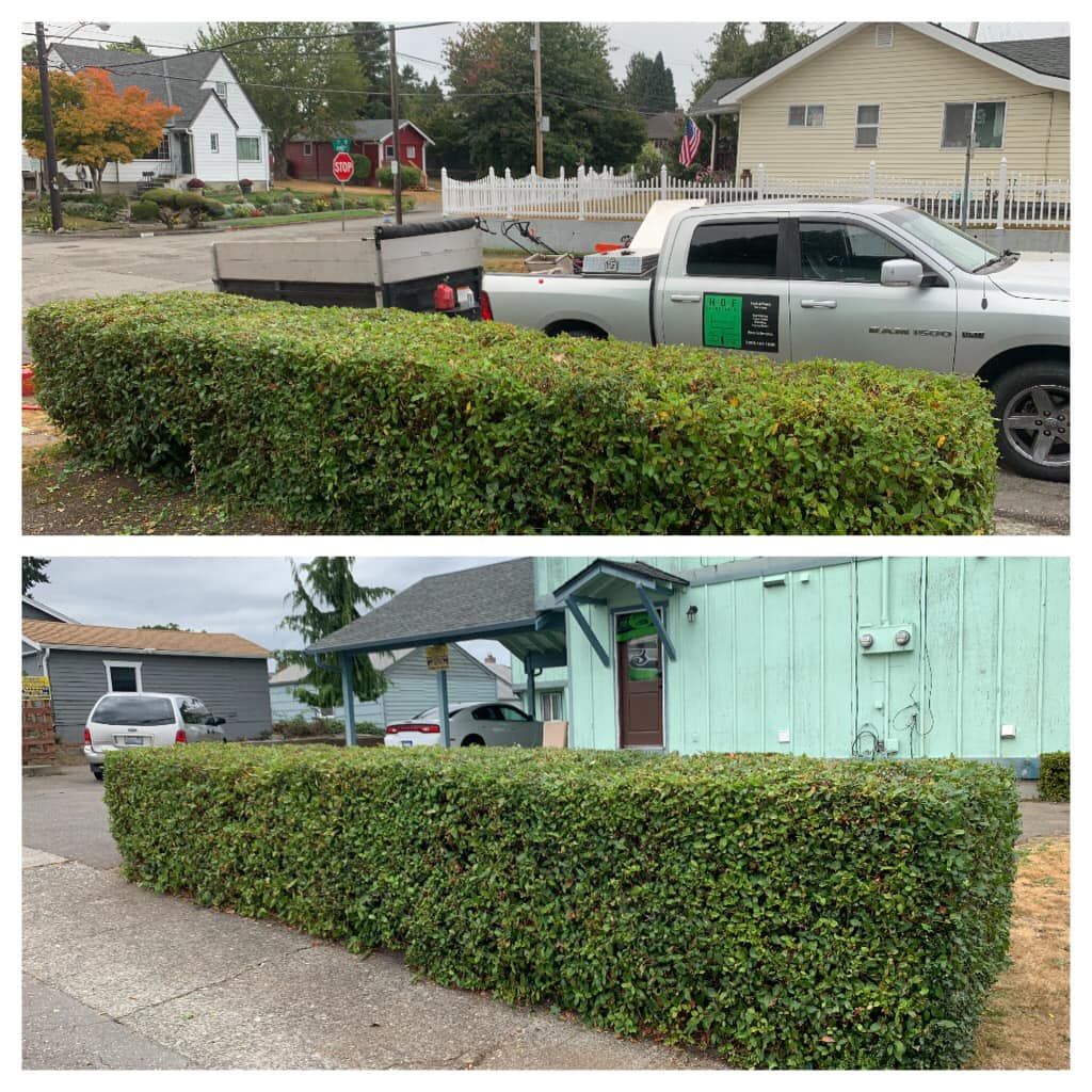 Shrub Trimming for Hall of Fame Landscaping in Bremerton, WA