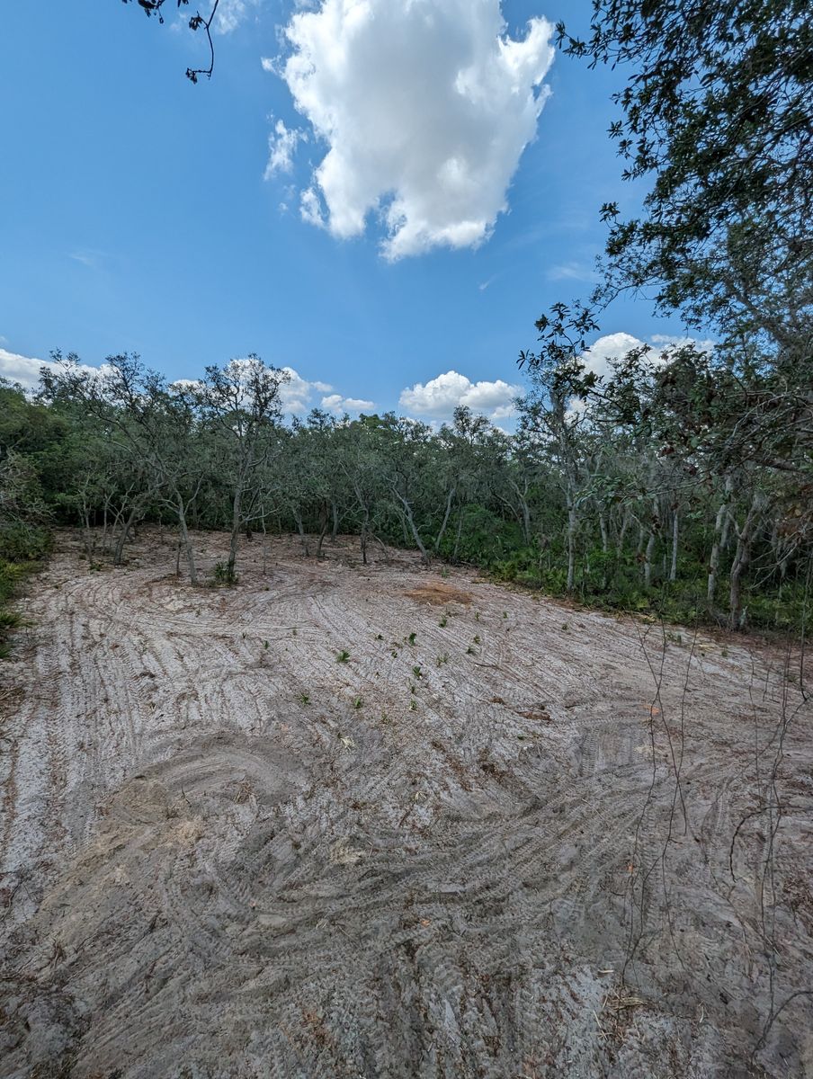 Land Clearing for Regal Tree Service and Stump Grinding in Wauchula, FL