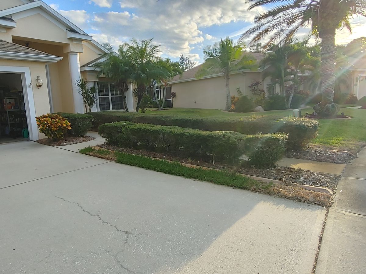 Landscape Installation for Epic Vine Design in Melbourne, FL