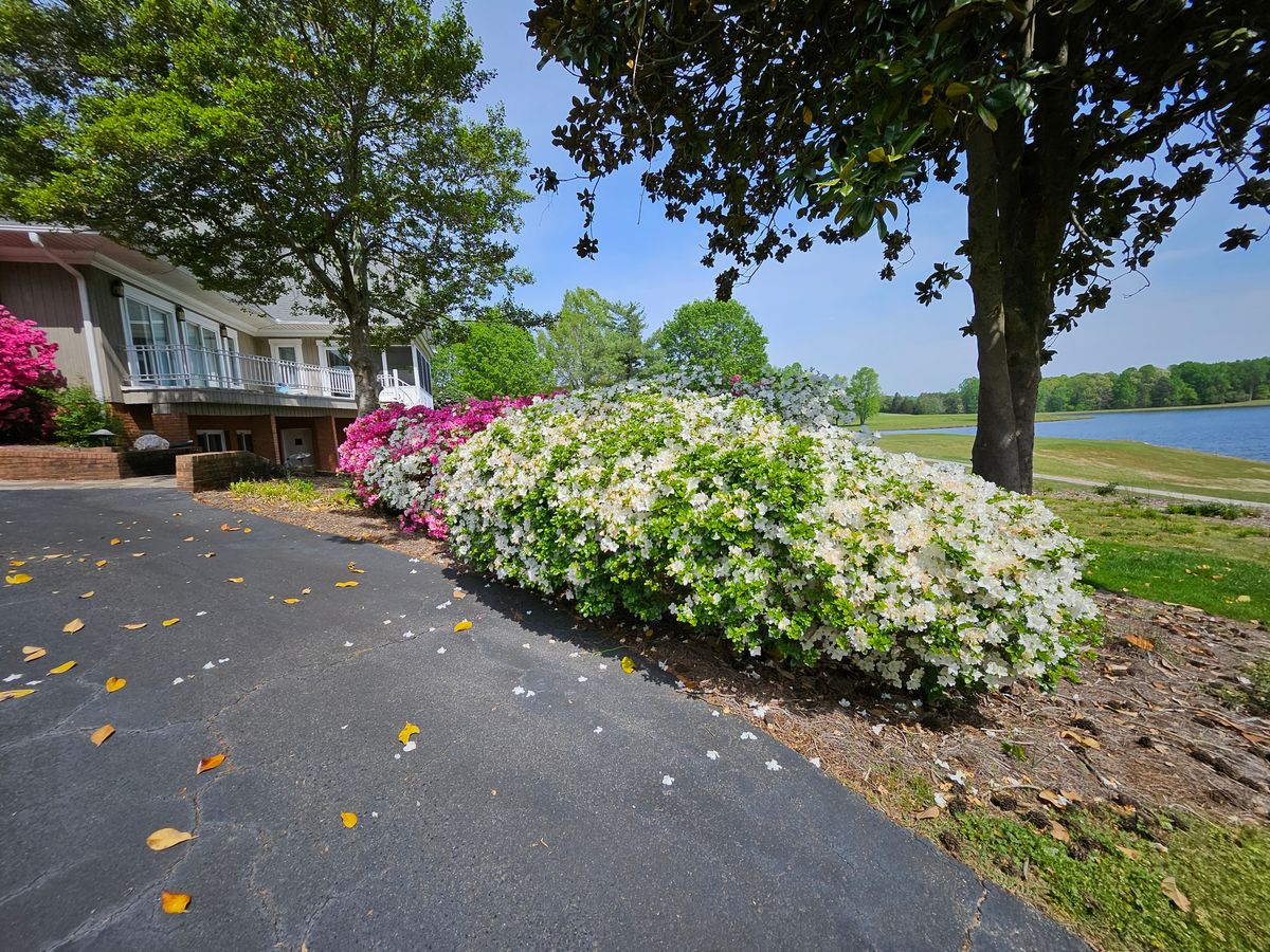 Tree, Shrub & Flower Maintenance for Gallimore’s Lawn Care in Thomasville, NC