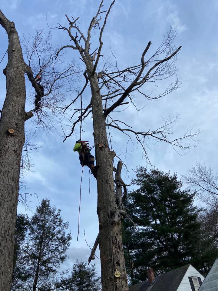 Retaining Walls for Dextre Tree Service in West Hartford, CT