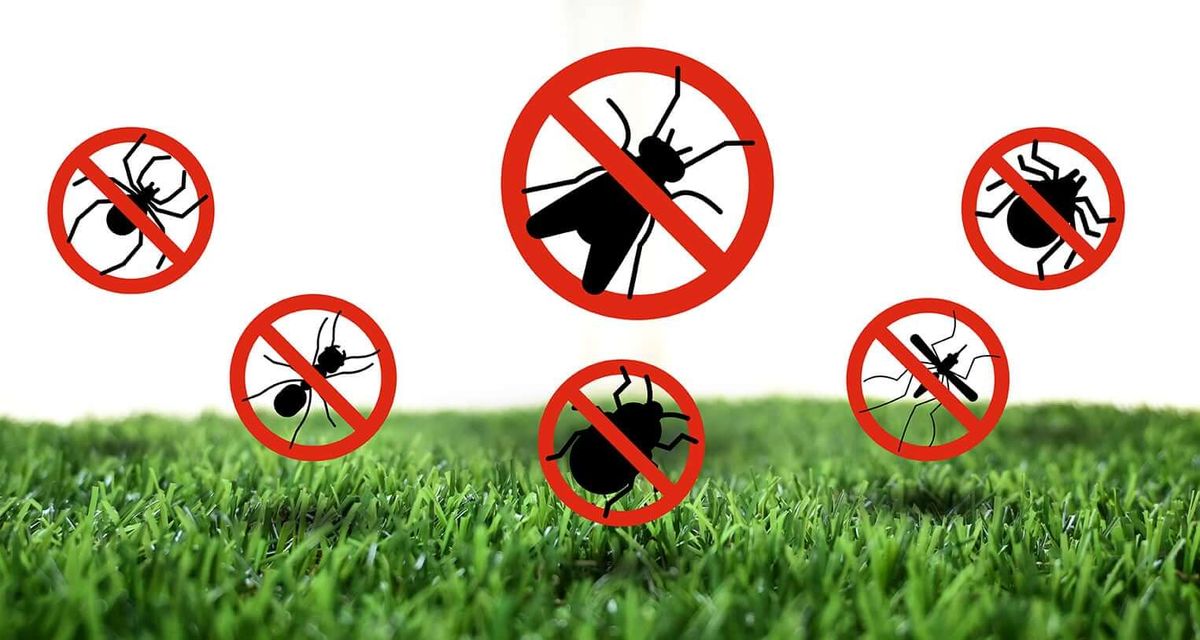 Mosquito Treatments for SodGods Lawncare and Landscaping in Fayetteville , NC