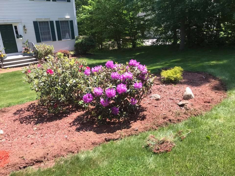 Mulch Installation for Smittys Property Maintenance LLC in Wethersfield, Connecticut