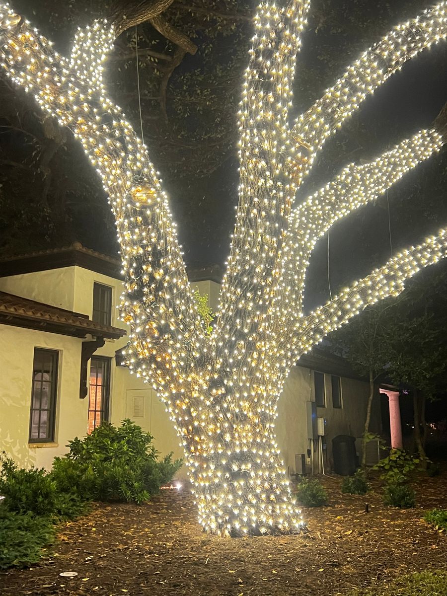 Permanent Lighting for Casa Care Property Services in Austin, TX