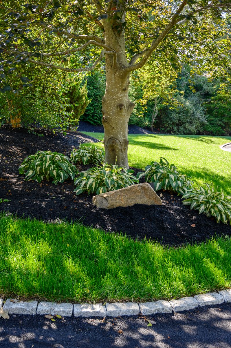Plantings & Enhancements for Pungitore Landscapes, Irrigation & Fertilizer in Hingham, MA