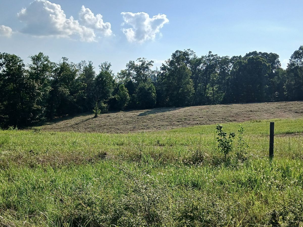 Site Preparation for Whiskey Ridge Mulching & Land Services in South Boston, VA