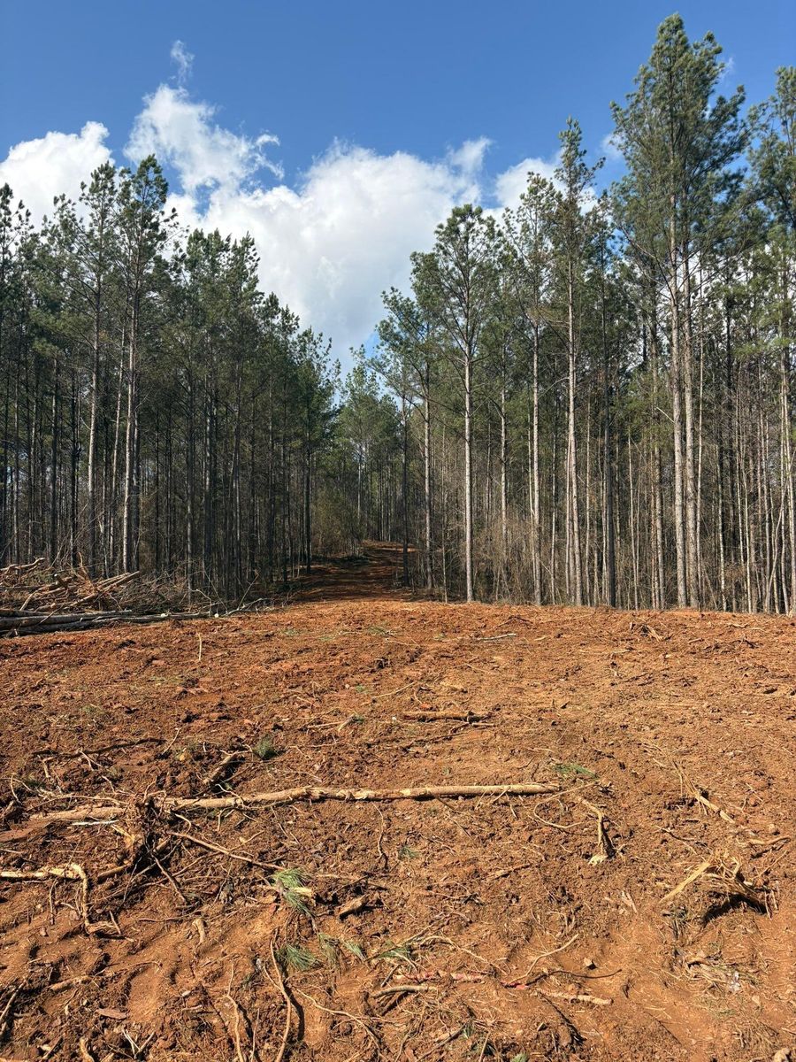 Site Preparation for Grading & Clearing Services in Dawsonville, GA