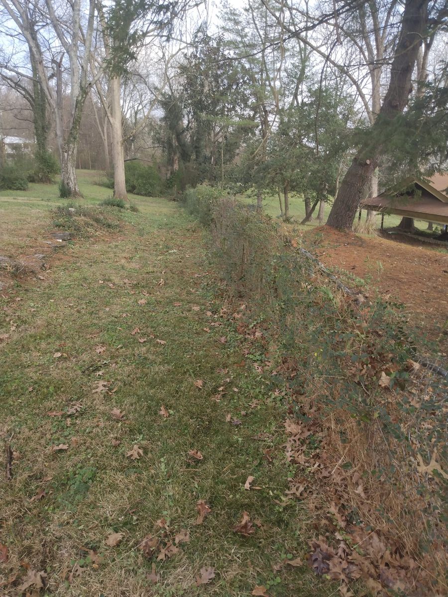 Fall Clean Up for Mark's Lawn Care in Mount Pleasant, TN