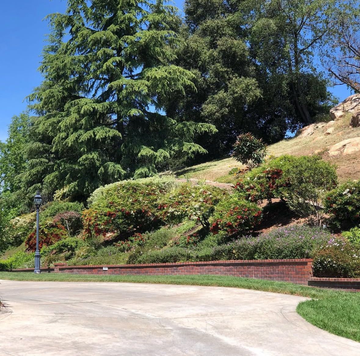 Lawn Maintenance for Herreras Land Service in San Diego, CA