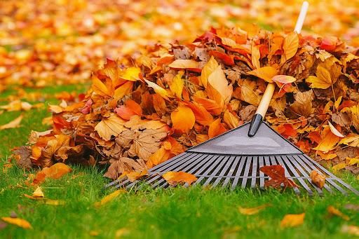 Fall Clean Up for Extra Mile Landscape & Irrigation in Orem, UT