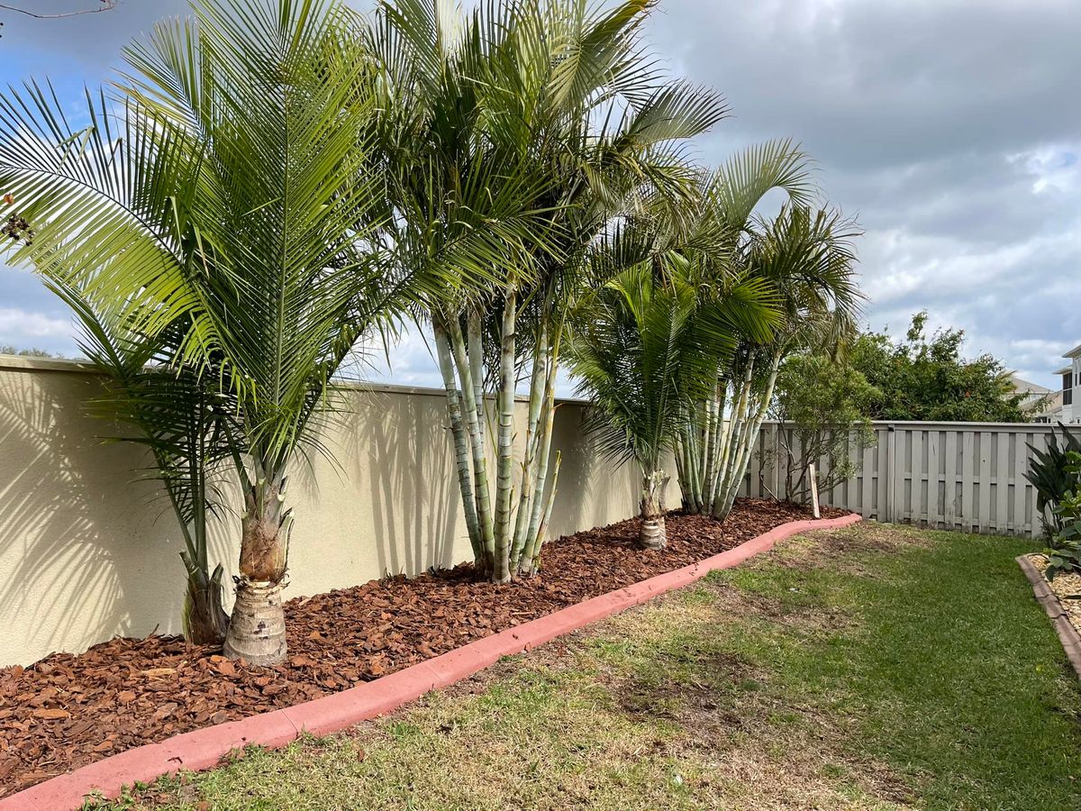 Mulch Installation for Florida Pro Turf in  Viera, FL