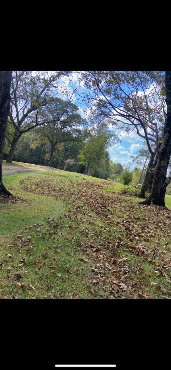 Fall Clean Up for Texas Vision Lawn & Landscape in Beaumont, TX
