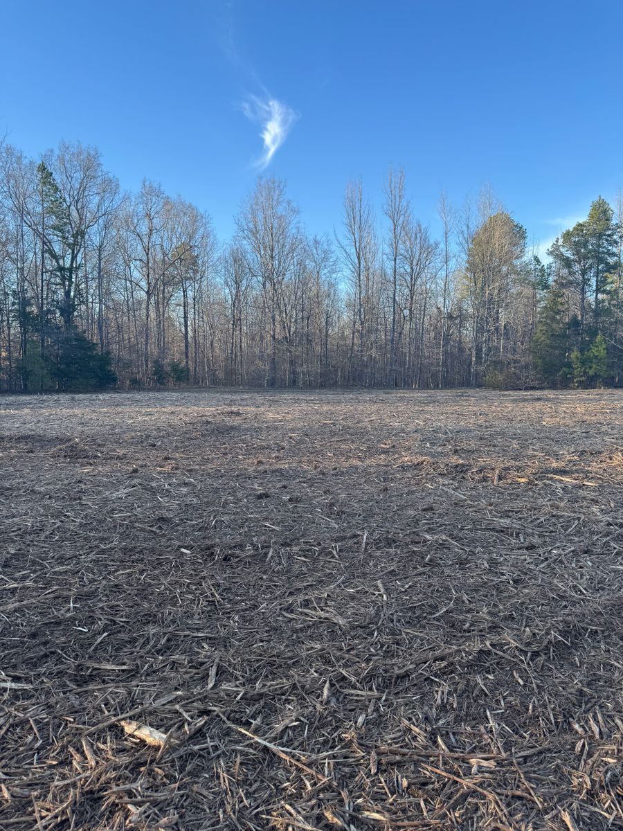 Forestry Mulching for Simmons land works in Sardis,, TN