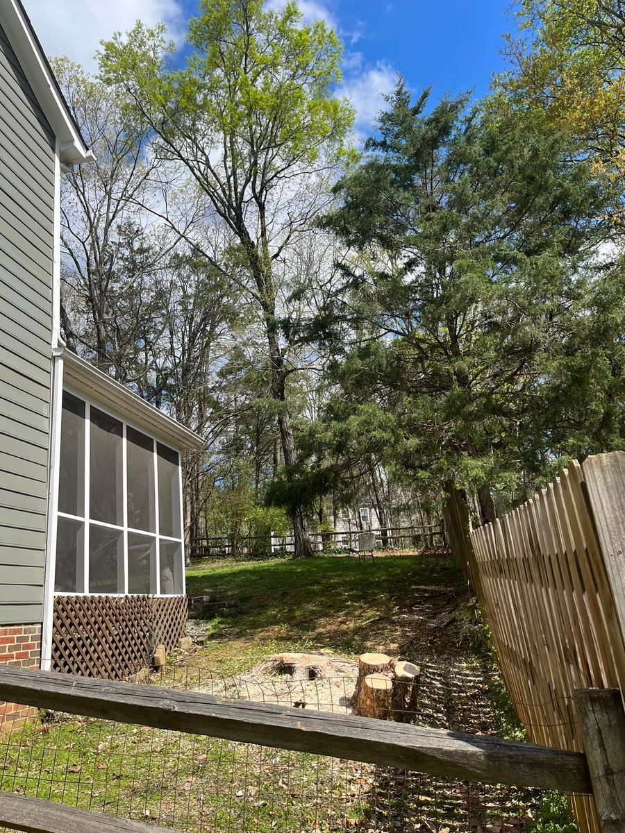 Stump Removal for DW’s Tree Service in Winston-Salem, NC