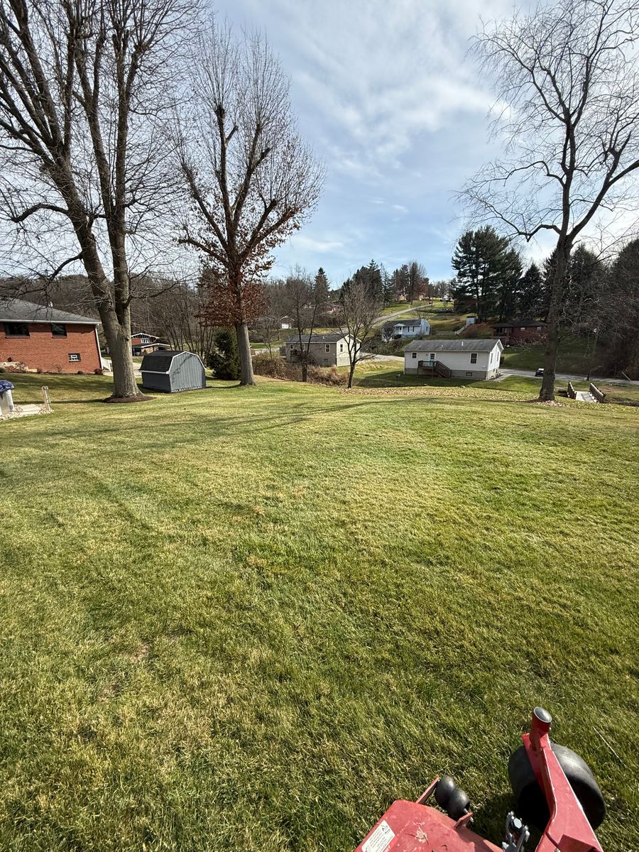 Leaf Removal for Green Hills Lawn Service in Washington, PA