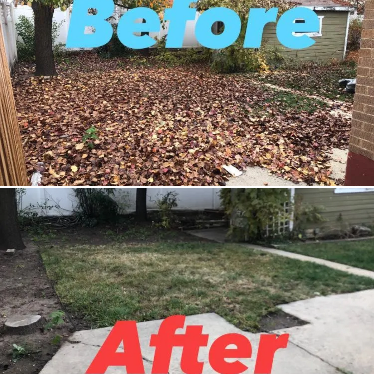 Yard Clean Ups for Duncan Yard Services in Bountiful, UT
