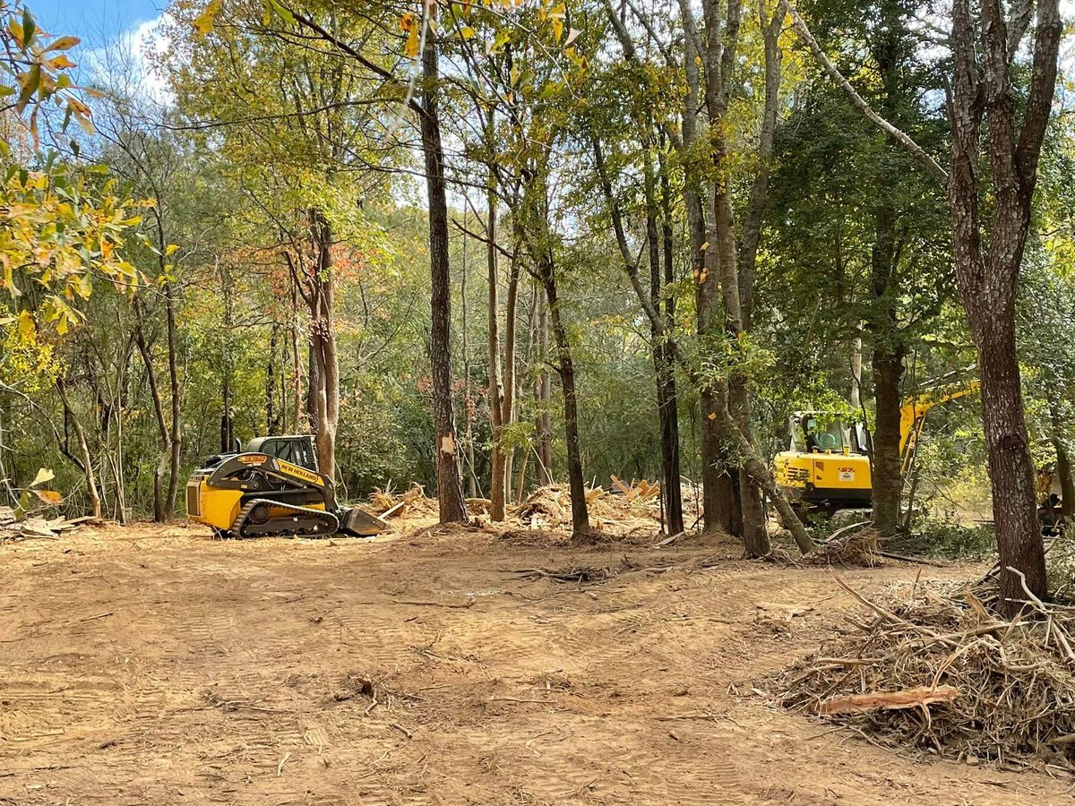 Tree removal and cleanup for Reed Construction Services LLC in Cartersville, GA