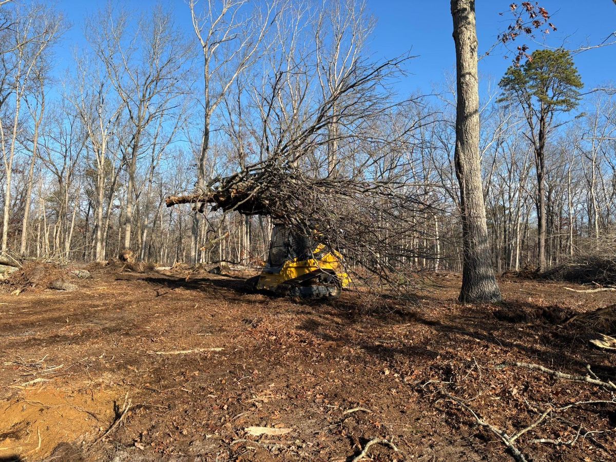 Forestry Mulching for GT Lawn Care in Egg Harbor Township, NJ