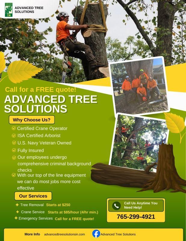 Zero Impact Approach for Advanced Tree Solutions in Rockville, IN