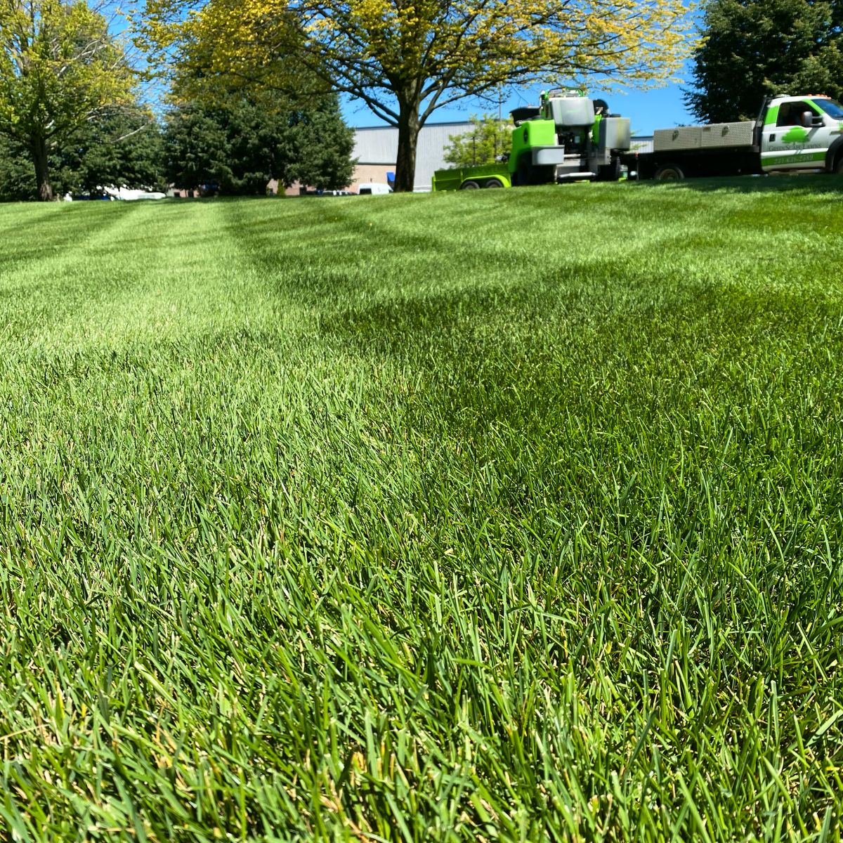 Lawn Care for Greenscape Lawns in Montague, MI