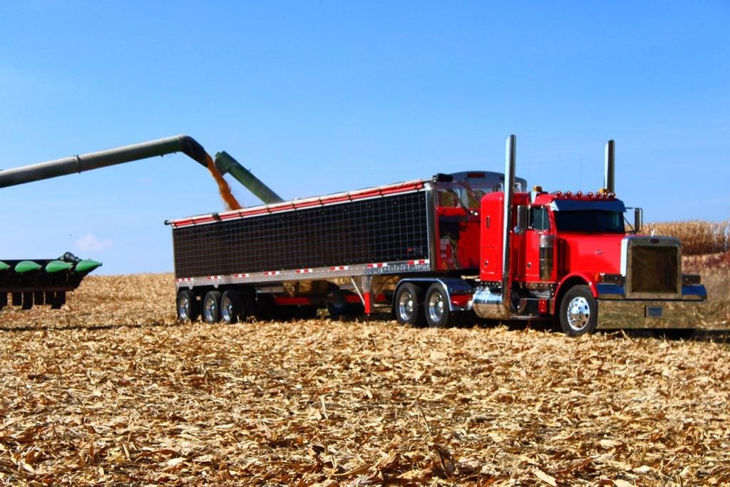 Hauling Grain for N & F Trucking in Watertown, MN