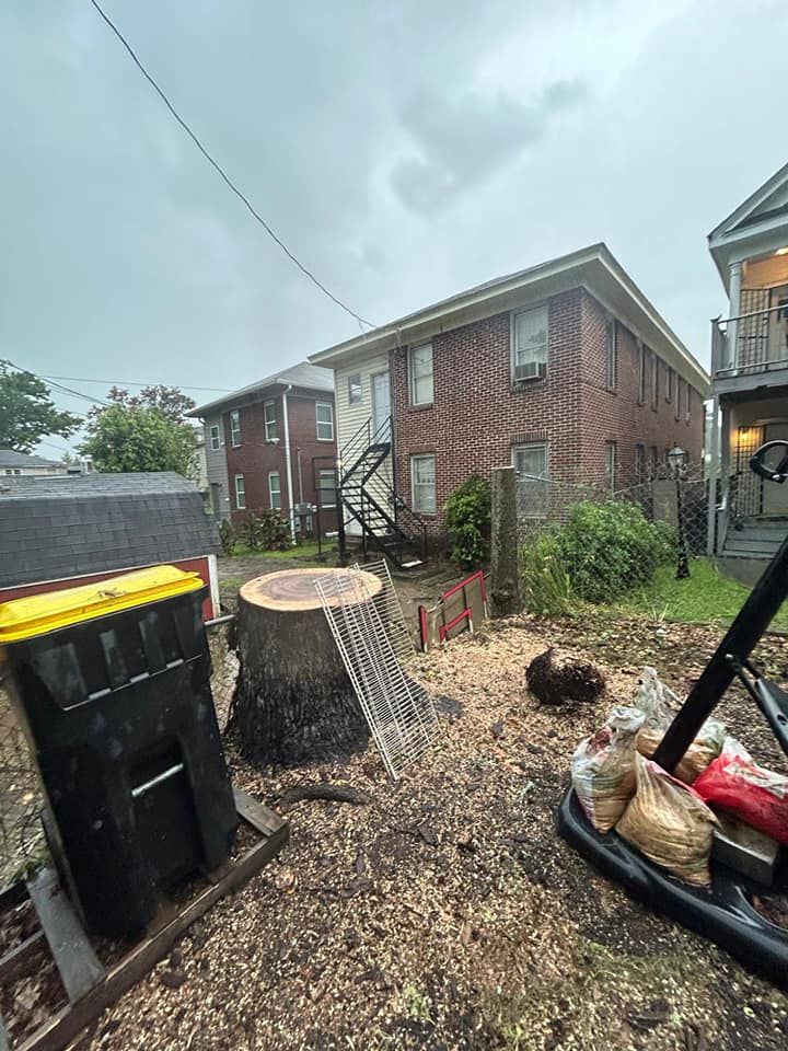 Tree Removal for Ayla Tree Service in Guyton, GA