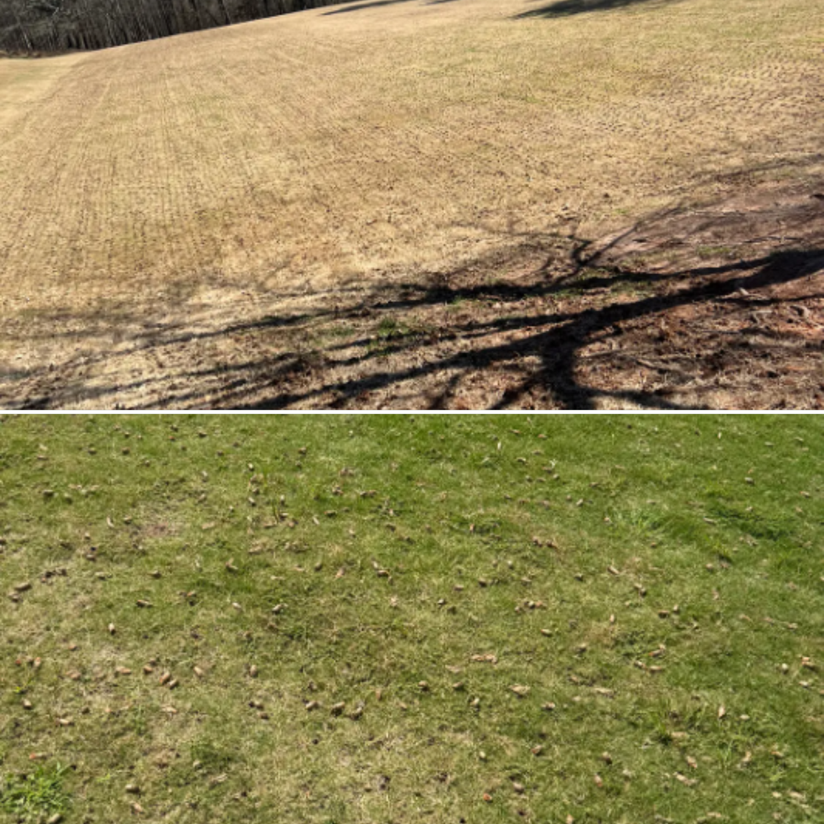 Lawn Maintenance for Amerigreen Lawn & Landscape in Duluth, GA
